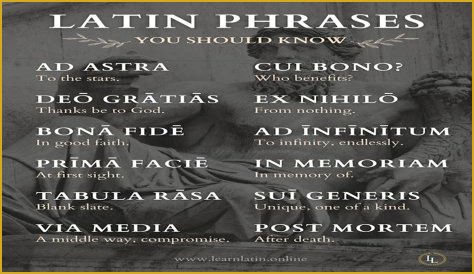 A Profile Of A Latin Beauty